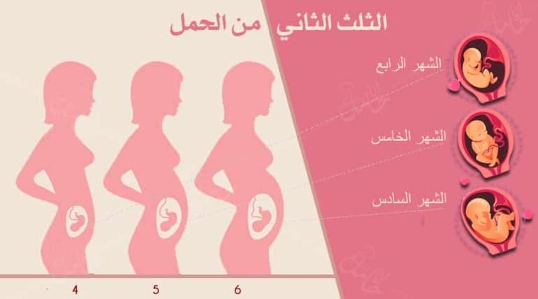 أعراض الحمل في المرحلة الثانية