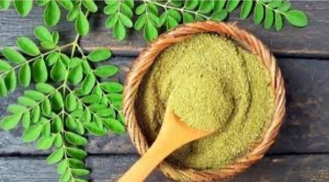 فوائد نبات المورينجا في روتين العناية بجمالك