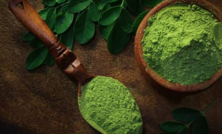 فوائد نبات المورينجا في روتين العناية بجمالك