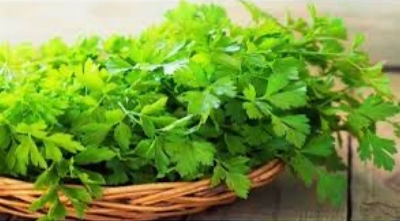 معجزة من الطبيعة