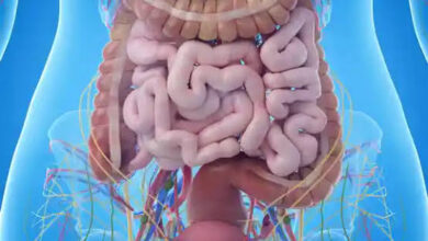 الجهاز الهضمي من الألف إلى الياء