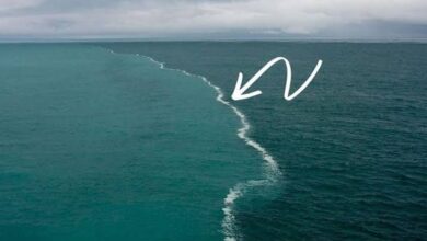 لماذا لا يختلط المحيط الهادئ بالمحيط الأطلسي