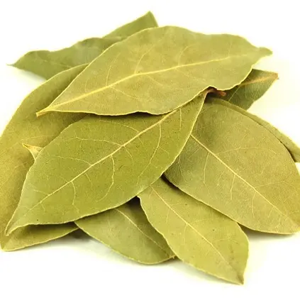 فوائد ورق الغار