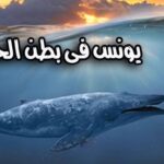 قصة النبي يونس عليه السلام.. رحلة الدعوة والابتلاء ومعجزة الحوت