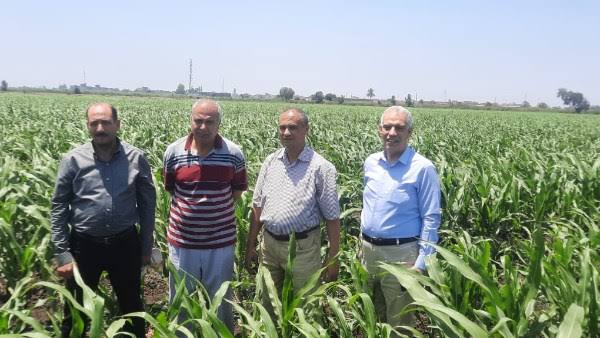 الزراعة تصدر 600 ترخيص